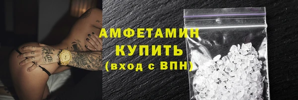 индика Кропоткин