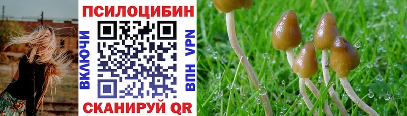 Псилоцибиновые грибы Psilocybine cubensis  кракен ССЫЛКА  Малмыж  даркнет сайт 